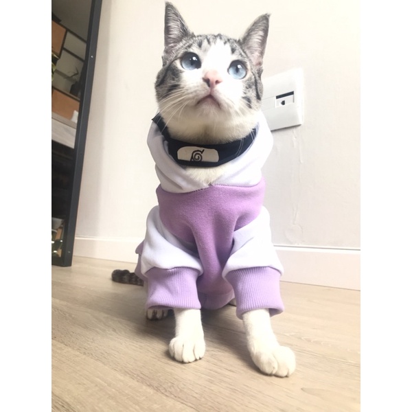 hinata roupa pet gato cachorro naruto anime kawai personagens roupinha criativa sasuke naruto sakura one piece