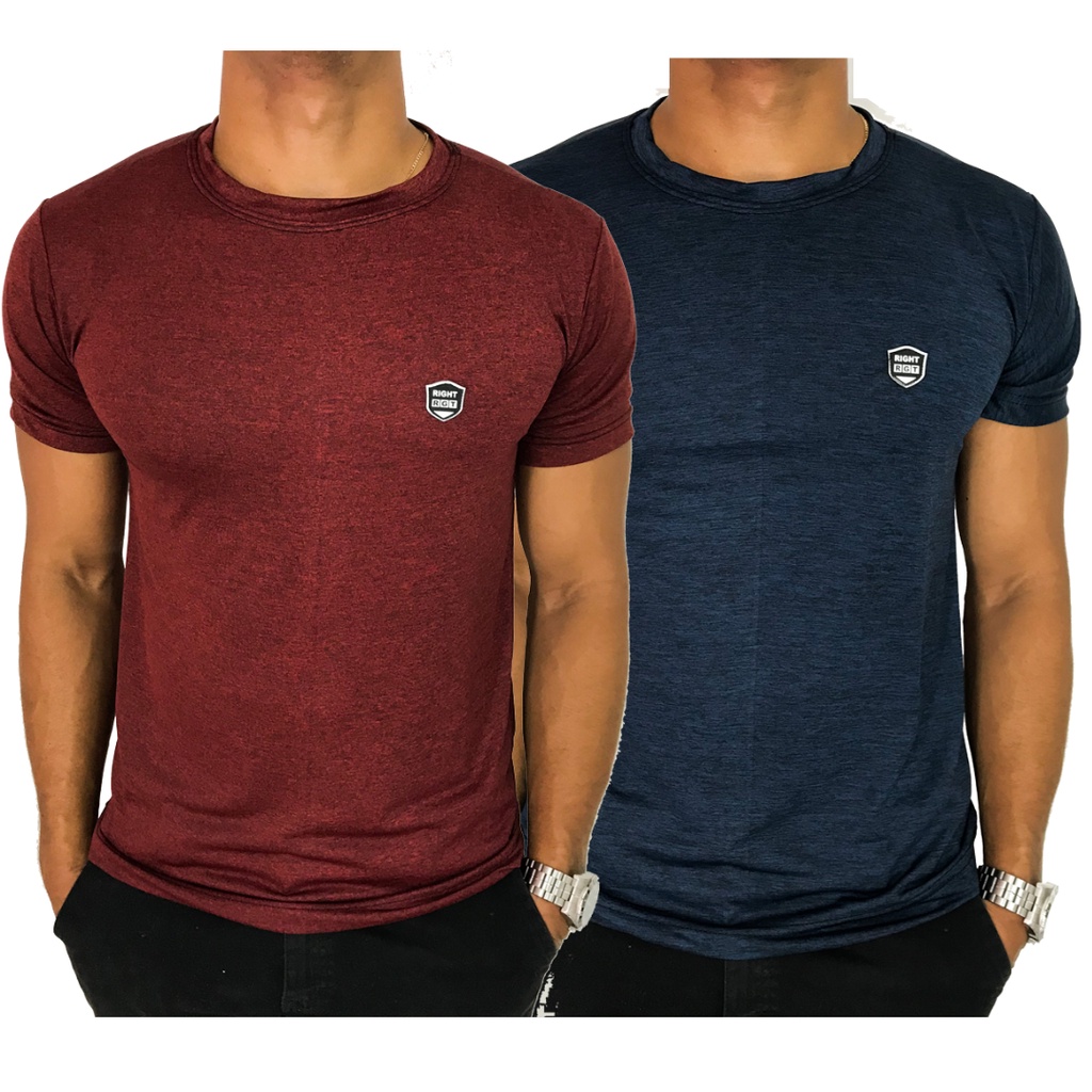 Kit 2 (duas) Camisetas manga curta Masculina Dry Fit Academia tecido leve seca rápido