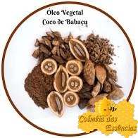 Óleo Vegetal Coco Babaçu 200gr 100%PURO