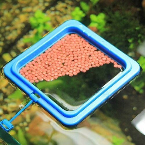 Comedouro Para Peixes Quadrado Medidas 10x10 Cm(alimentador) em Oferta na Shopee