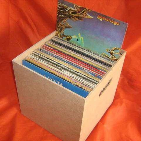 Caixa Organizadora Para Disco / Lp / Vinil
