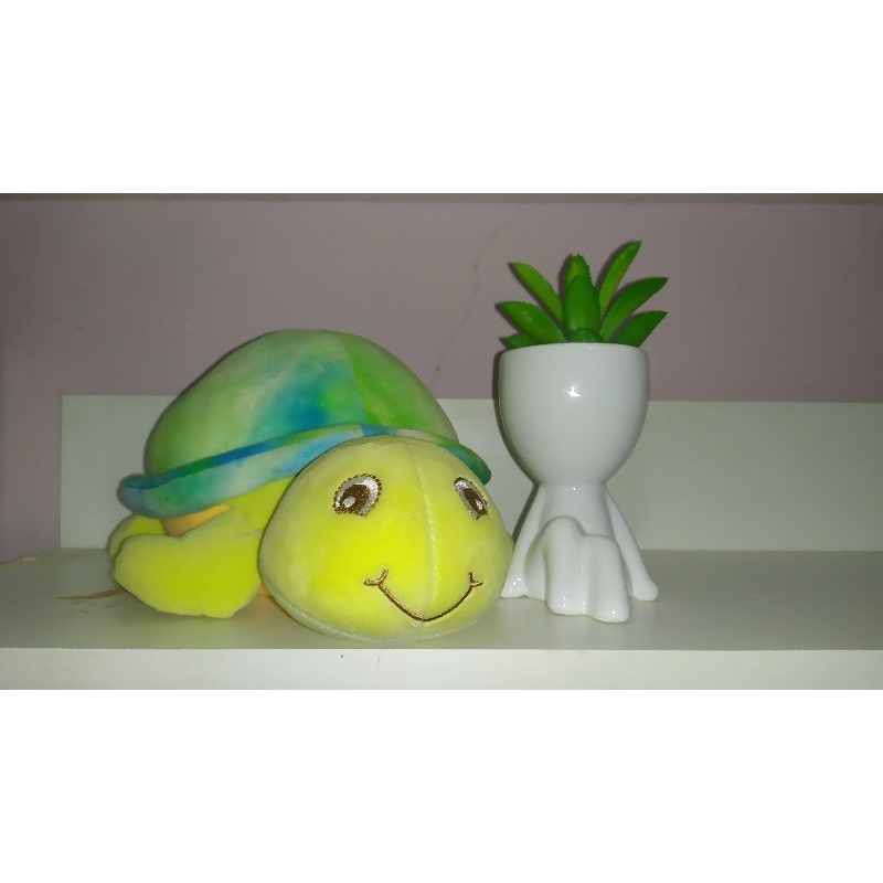 tartaruga antialérgica