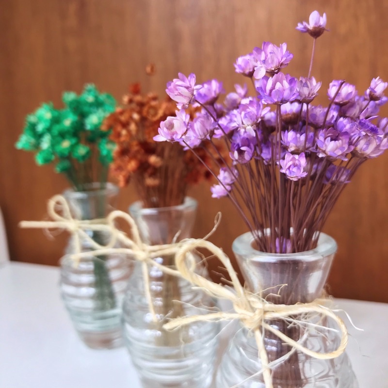 Mini Vaso Com Flor seca Sempre Viva | Shopee Brasil