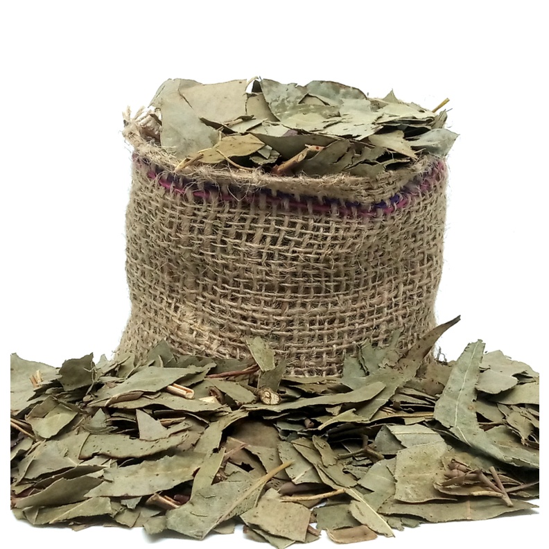 Eucalipto Folhas 1kg / 500g Alta Qualidade