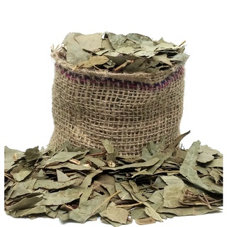 Eucalipto Folhas 1kg / 500g Alta Qualidade