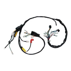 Fiação Principal Chicote Honda Cg 125 Fan 2005 A 2008
