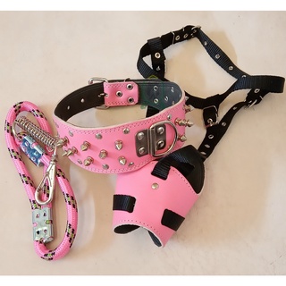Coleira Spikes Focinheira Guia Kit Couro Legítimo Pitbull Rotwieller Akita Husky Dobermamn