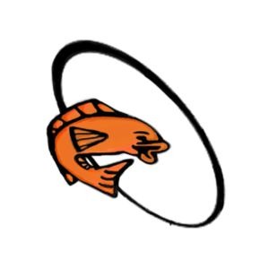 Casa das Redes Estrela