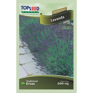 205 Sementes Alfazema Lavanda super cheirosas em Oferta na Shopee