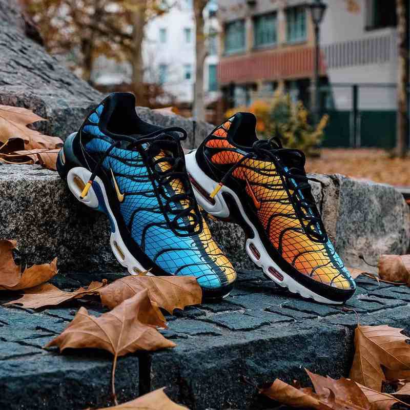 airmax tn plus