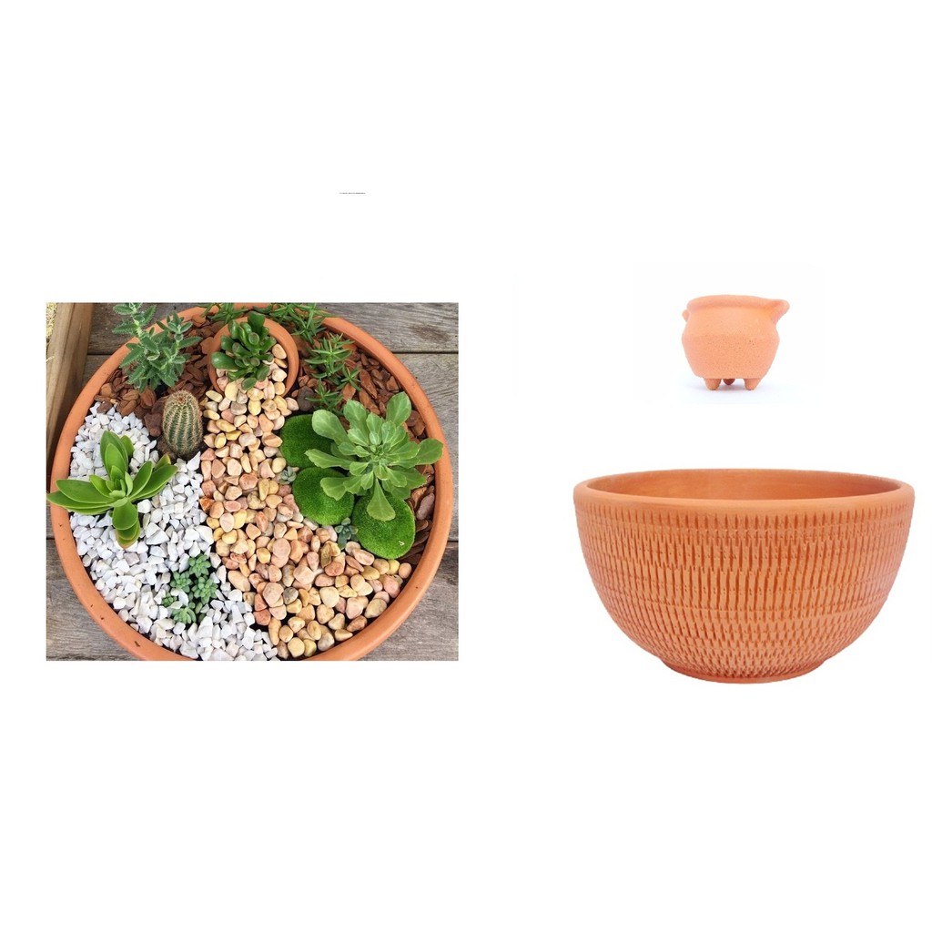 Bacia para Mini Jardim: Onde Comprar | BuscaProdutos