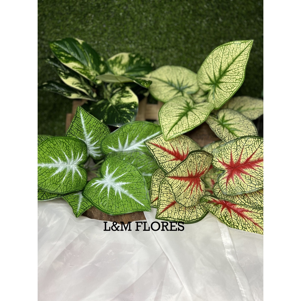 Buquê de Diffenbachia/Comigo Ninguem Pode artificial com 9 galhos ideal para arranjos e decoração em Oferta na Shopee