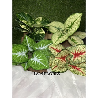 Buquê de Diffenbachia/Comigo Ninguem Pode artificial com 9 galhos ideal para arranjos e decoração em Oferta na Shopee