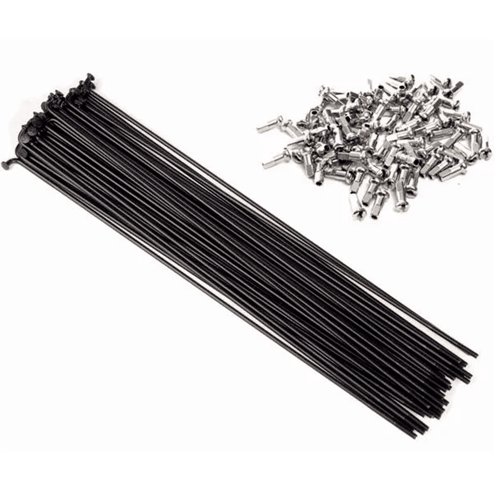 Raio Bike Aro 29/700 Fino Inox Preto 295 X 2.0mm 36 Pçs