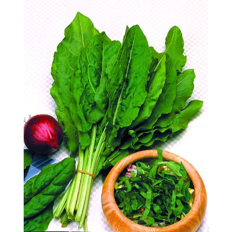 Sementes Azedinha Rumex Acetosa Folha Larga