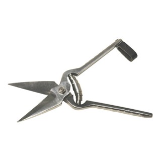 Tesoura Para Casco De Ovinos E Caprinos Serrilhada em Oferta na Shopee