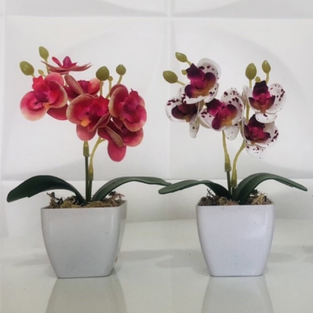 Kit com 2 mini arranjo de orquídeas permanentes com vaso | Shopee Brasil