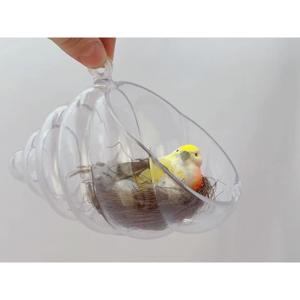 vaso em forma de concha acrílico festas