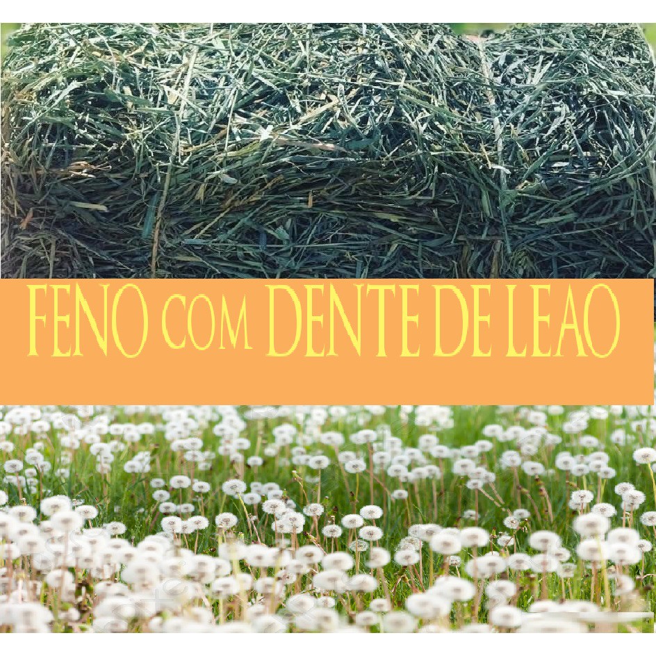 Feno Com Dente De Leão - 500g Nutripanspets