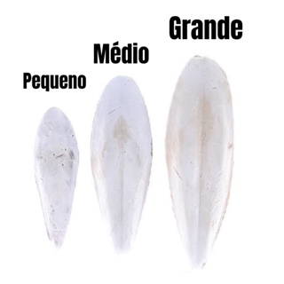 Osso de Siba P/M/G em Oferta na Shopee