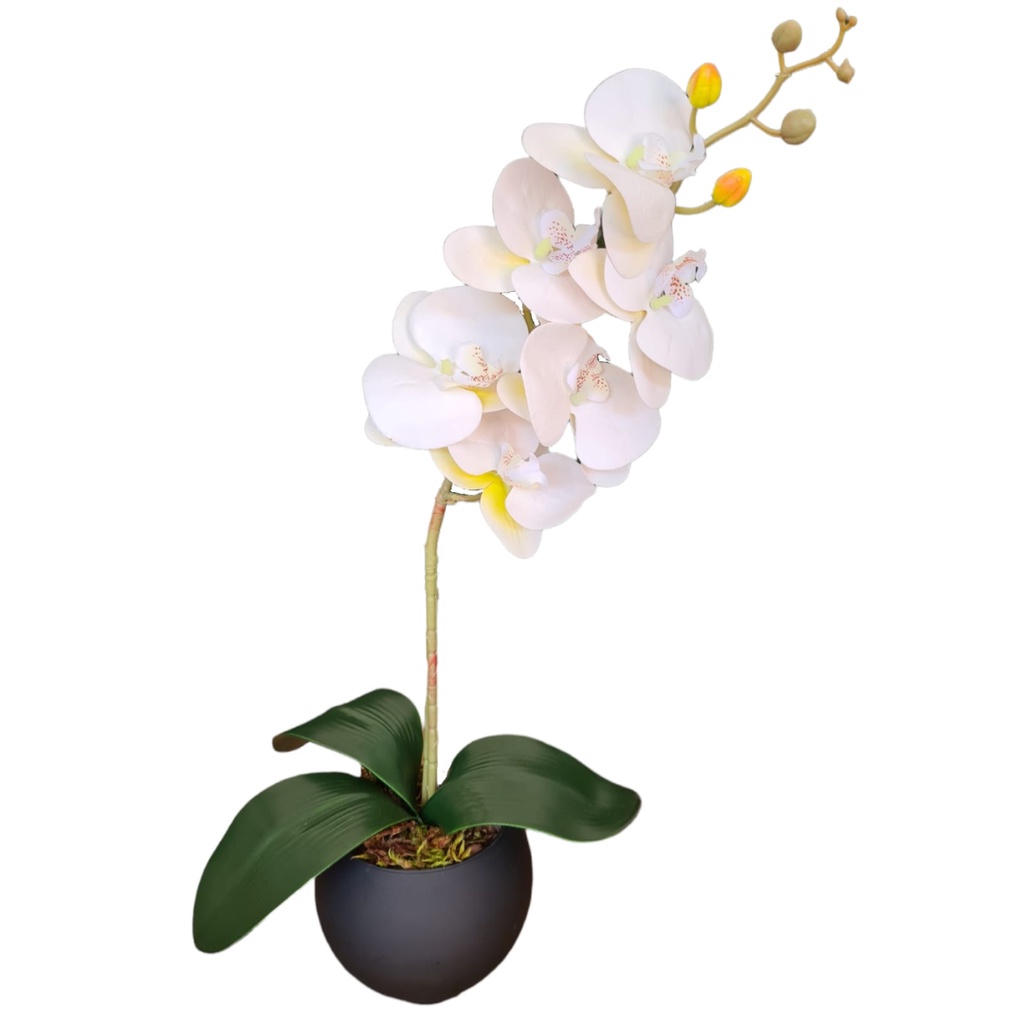 Arranjo Artificial Flor de Orquídea Branca Semelhante a Natural com Vaso de  Vidro Preto | Shopee Brasil