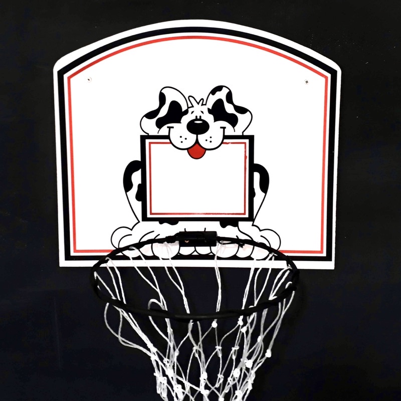 Aro e Tabela de Basquete: Onde Comprar | BuscaProdutos