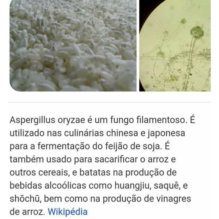 Aspergillus Oryzae tempero pronto para fazer sua fermentação legumes &verduras