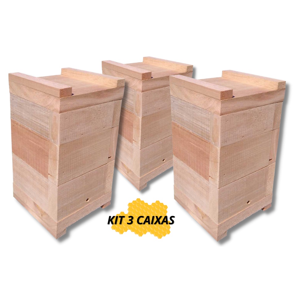 Kit 3 Caixas De Abelhas sem Ferrão Asf Jataí Mirim Modelo Inpa Eucalipto Rosa 10x10cm