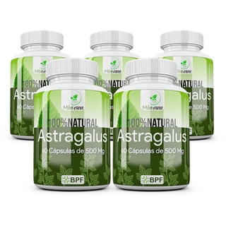 Astragalus 100% Puro Kit 5 Frascos 300 Cápsulas 500mg Natural