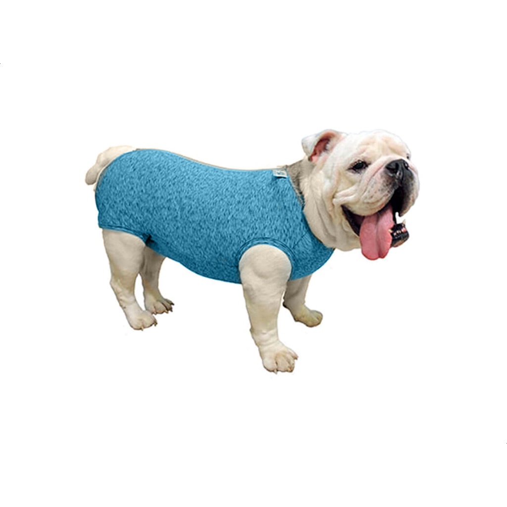 Roupa Protetora Pós Cirúrgica Buldogue Inglês Pet Med PP - Azul