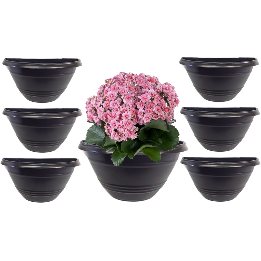 6 Vasos de Parede Meia Lua Mini 450 ml Para Jardim Vertical