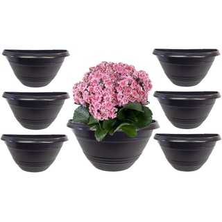 6 Vasos de Parede Meia Lua Mini 450 ml Para Jardim Vertical
