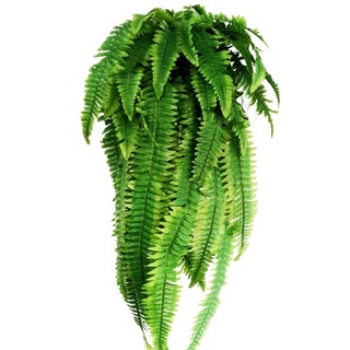 samambaia artificial 54cm  americana Argentina renda francesa paulistinha de metro