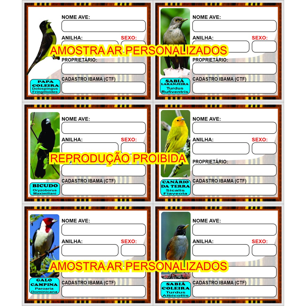 100 placas de identificação para pássaros, criatório,  gaiola coleiro trinca ferro, fabricamos para qualquer ave