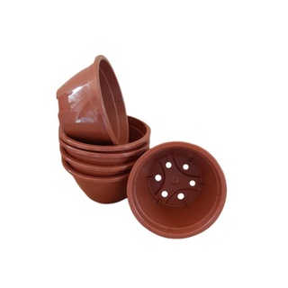 Kit 100 Vasos Cuia 13 Lisa Plástico MARROM Plantas Pendentes Suculentas Rosa do Deserto Mudas