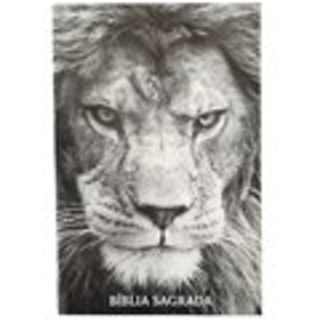 Bíblia Sagrada Letra Normal | Harpa Cristã | Brochura | Leão PB