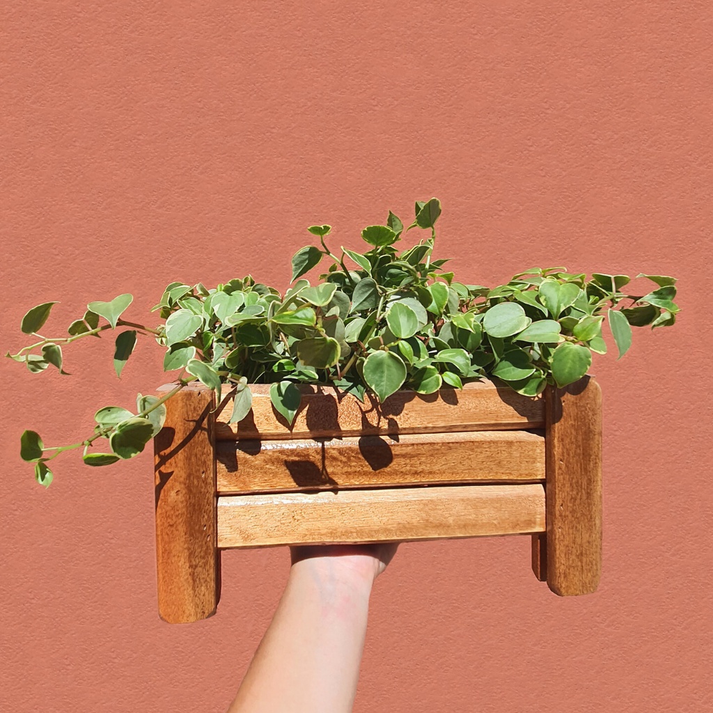 Cachepot 40cm: Guia Completo e Onde Comprar | BuscaProdutos