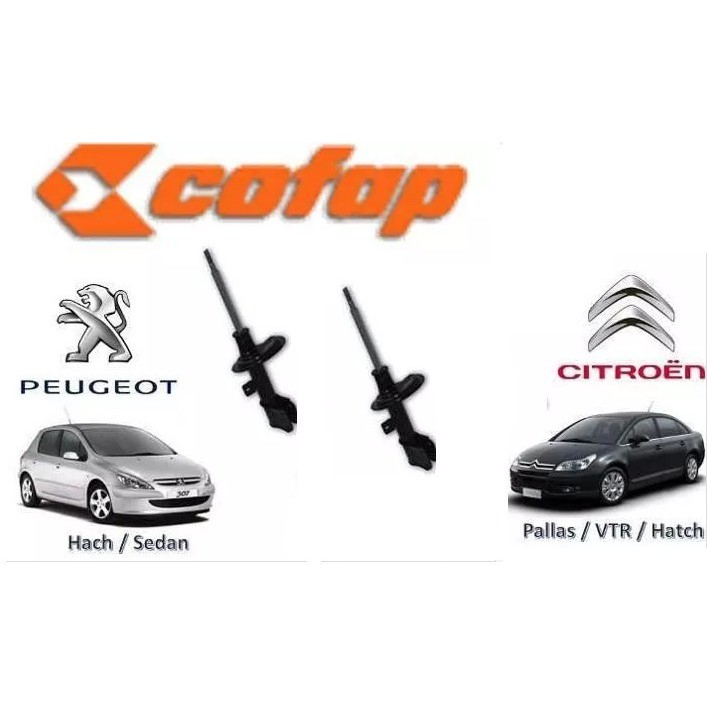 Par Amortecedor Dianteiro Cofap C4 Pallas Hatch Peugeot 307