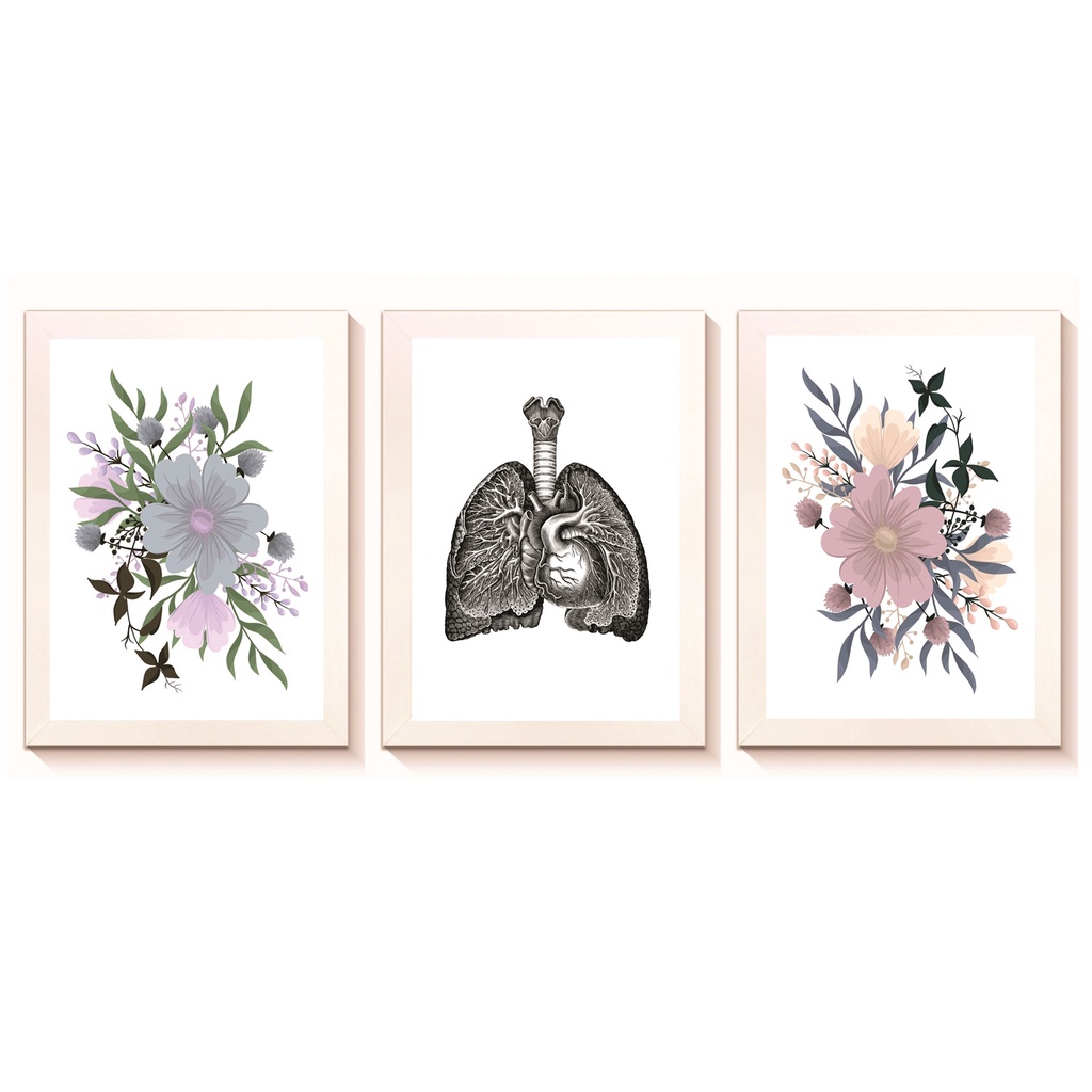 Kit 3 Quadros Decorativos Pulmões Decoração Consultório Médico Pneumologia Molduras 20x30cm Madeira
