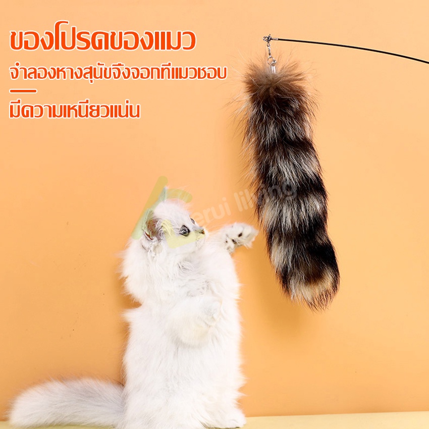 Harmcat ไม้ตกแมว ของเล่นแมว ไม้ล่อแมว ปรับยืด-หดได้ ไม้ล่อแมว ไม้แมว ของเล่นสัตว์เลี้ยง สำหรับแมวฝึกทักษะ เบ็ดตกแมว - ภาพที่ 3