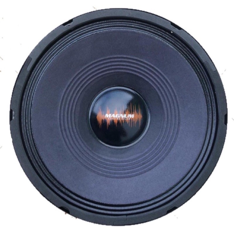 Alto Falante Woofer Magnum 10 Polegadas 100W RMS 4 Ohms Bobina Simples Médio Grave Cone Seco