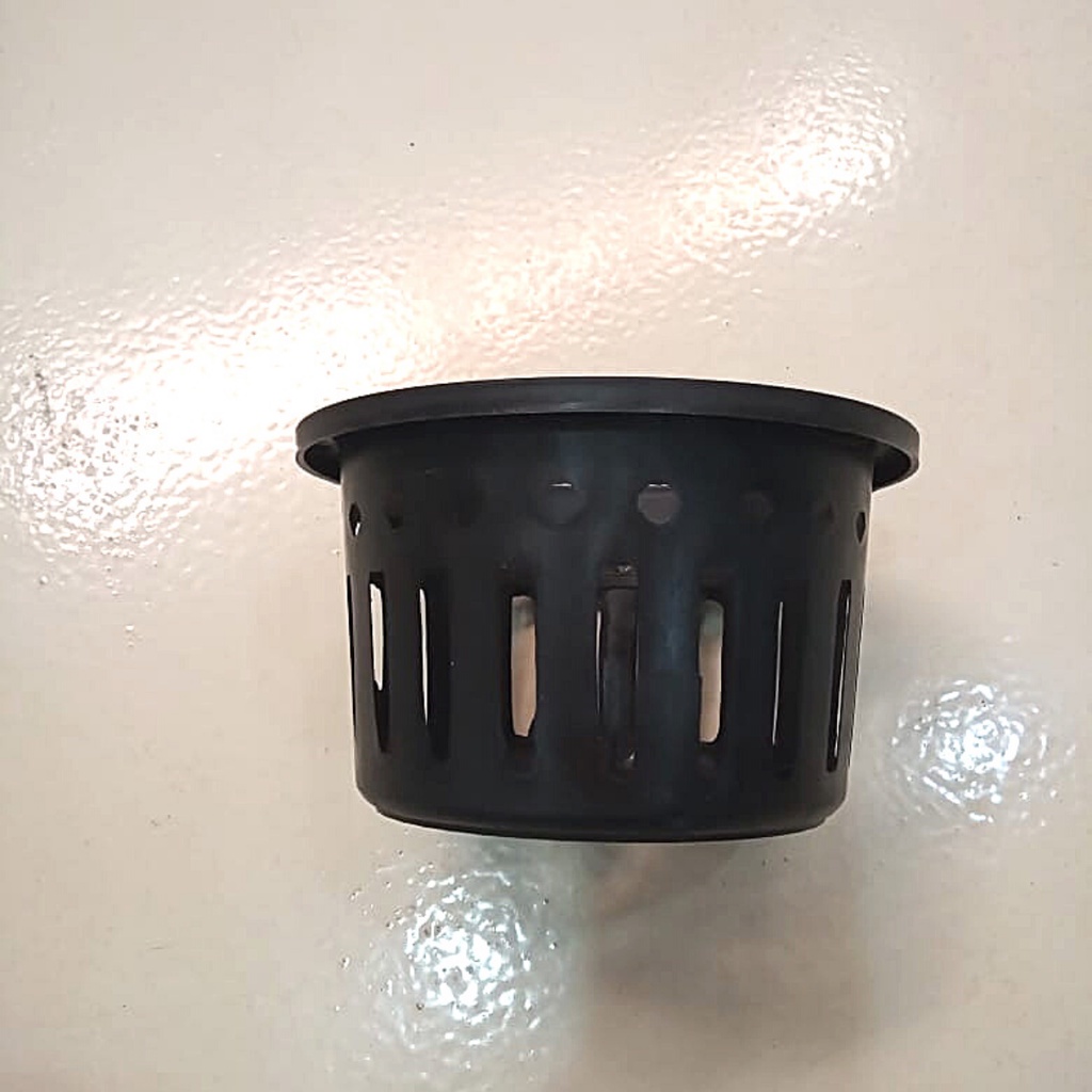 Vaso Cesta Vazado Preto Grande para Orquídeas Vanda ou Stanhopea