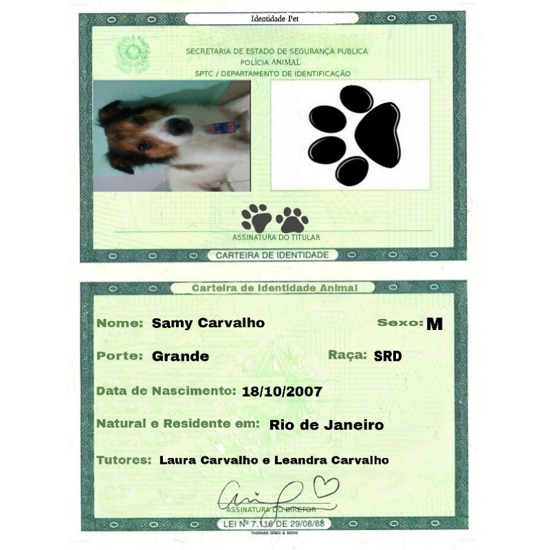 RG animal Identidade Bichinho