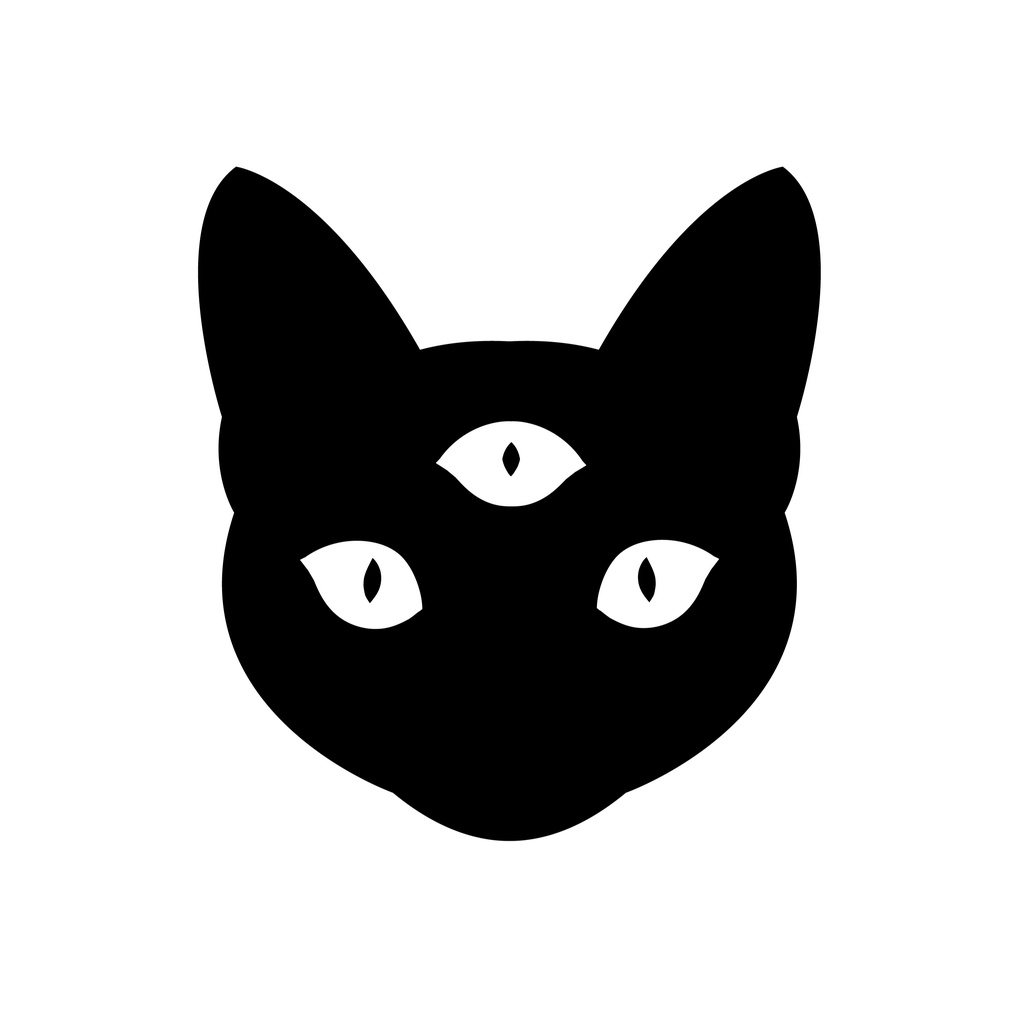 Wizard Cat Store, Loja Online Shopee Brasil