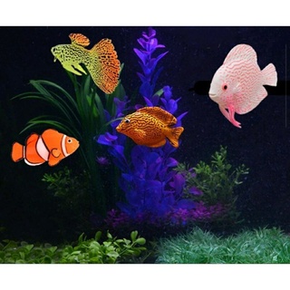 Enfeite Flutuante Peixe Artificial Ornamental Para Decoração de Aquários Nemo em Oferta na Shopee