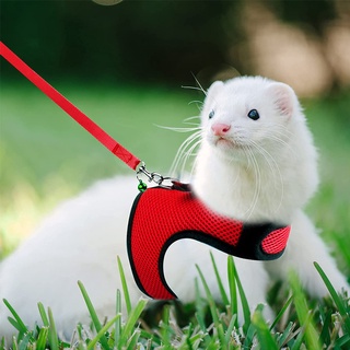 Malha Respirável Coelho Harness Set Leash Para Animais De Pequeno Porte Portes Hamster Verão Andando Pet Chumbo Mascotes Acessórios