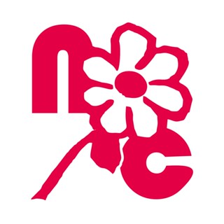 Exclusivo Nova Carimbos - 04 em Oferta na Shopee