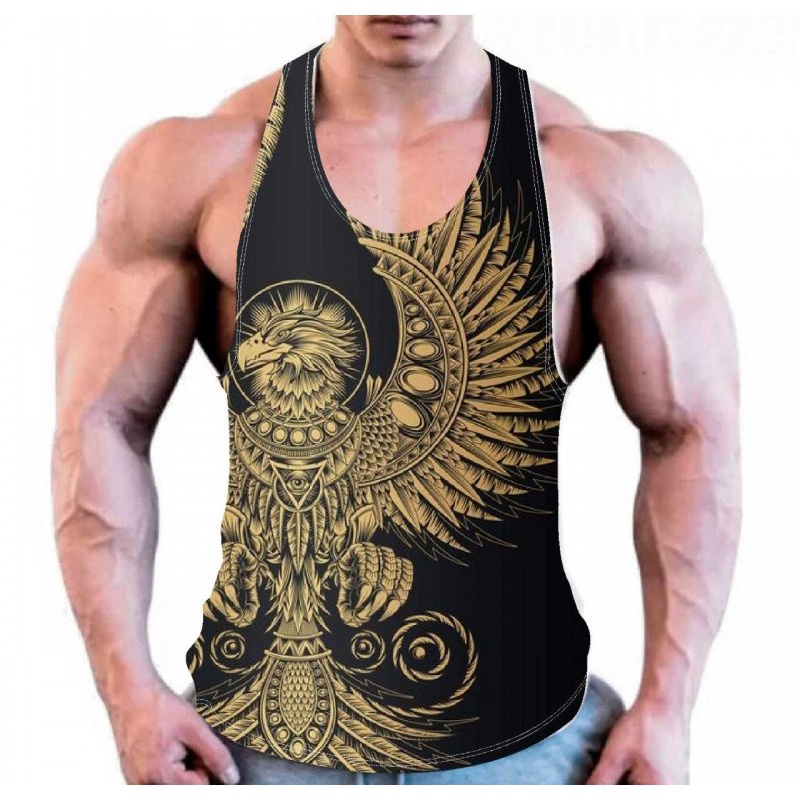 Regata Phoenix egito