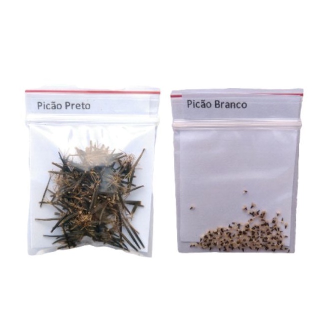 kit Sementes Picão Branco + Picão Preto - Ervas / Pancs