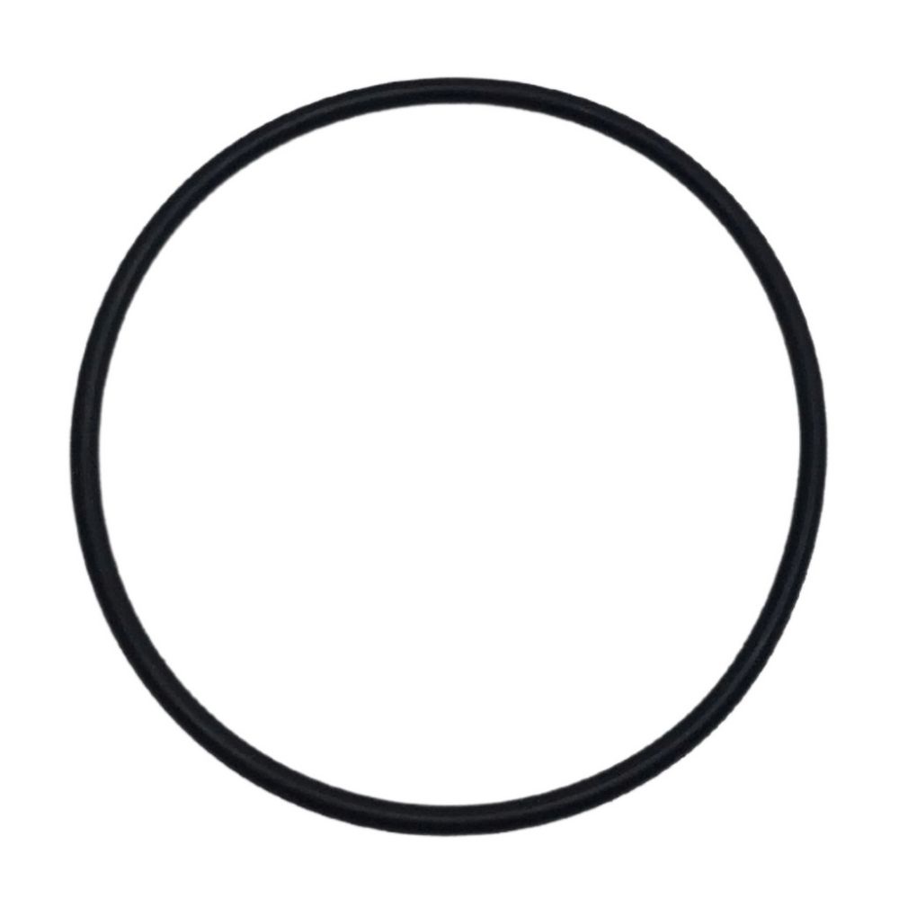 Anel de Vedação para Chuveiro Lorenzetti Bella Ducha em Oferta na Shopee